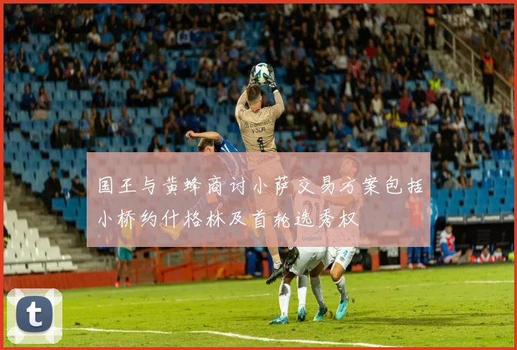 国王与黄蜂商讨小萨交易方案包括小桥约什格林及首轮选秀权