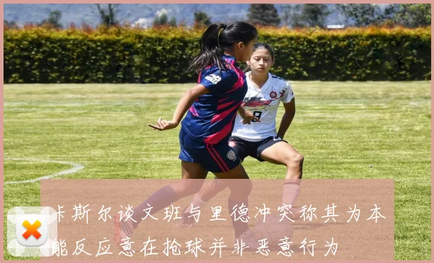 卡斯尔谈文班与里德冲突称其为本能反应意在抢球并非恶意行为